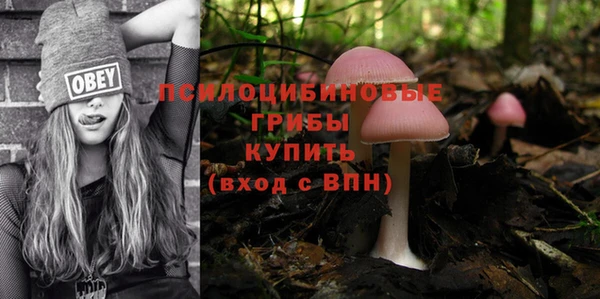 тгк Гусев