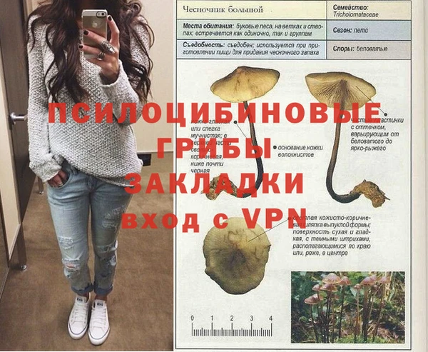соль ск Аркадак