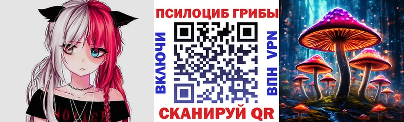 это как зайти Соль-Илецк Псилоцибиновые грибы Psilocybe